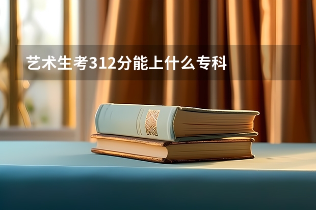 艺术生考312分能上什么专科