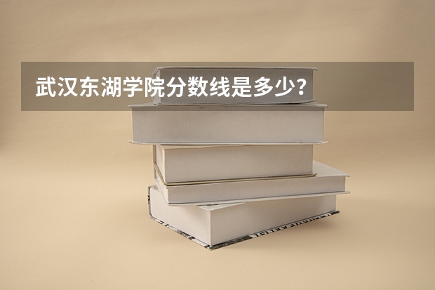 武汉东湖学院分数线是多少？