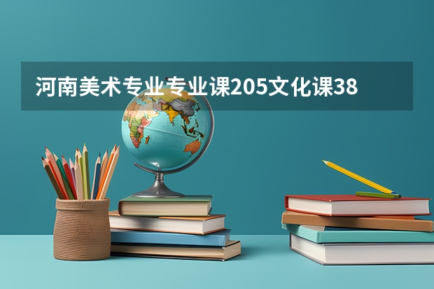 河南美术专业专业课205文化课381能上哪些公办二本
