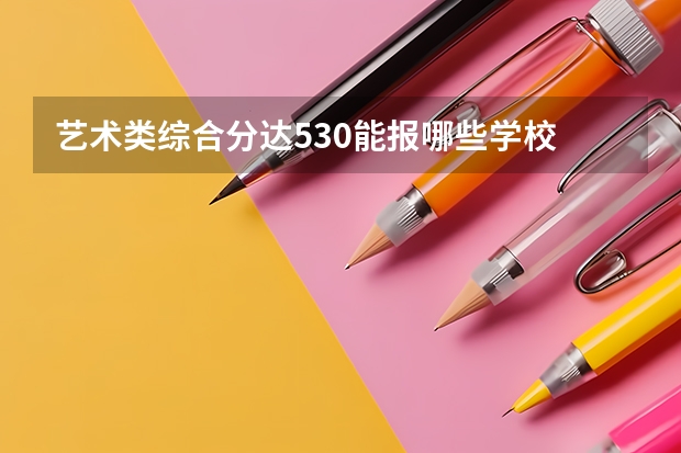 艺术类综合分达530能报哪些学校