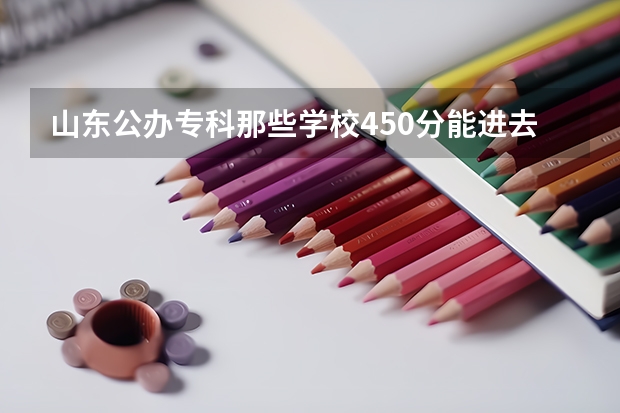 山东公办专科那些学校450分能进去? 徐州华宇卫校是合法学校么?