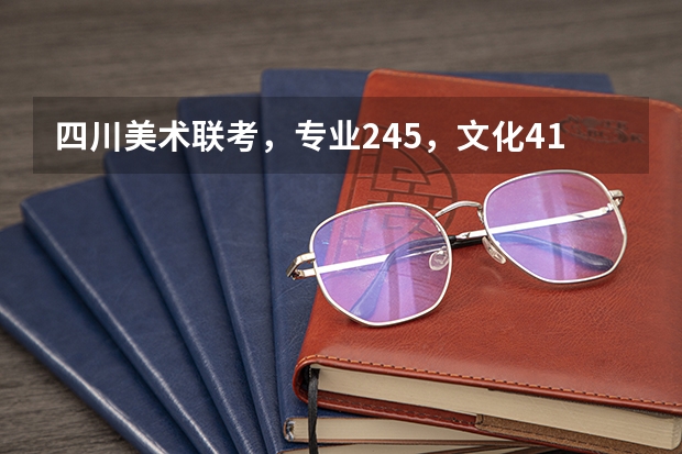 四川美术联考，专业245，文化410，可以上什么好大学？