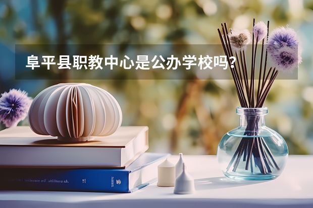 阜平县职教中心是公办学校吗？