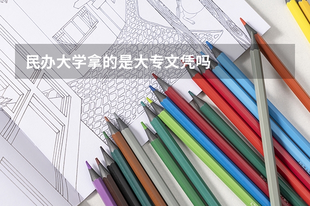 民办大学拿的是大专文凭吗