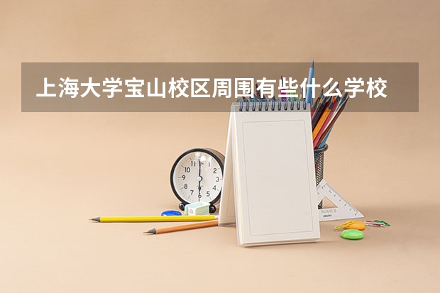 上海大学宝山校区周围有些什么学校