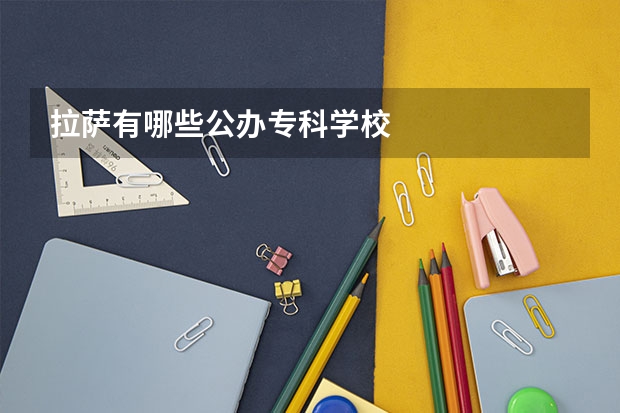 拉萨有哪些公办专科学校