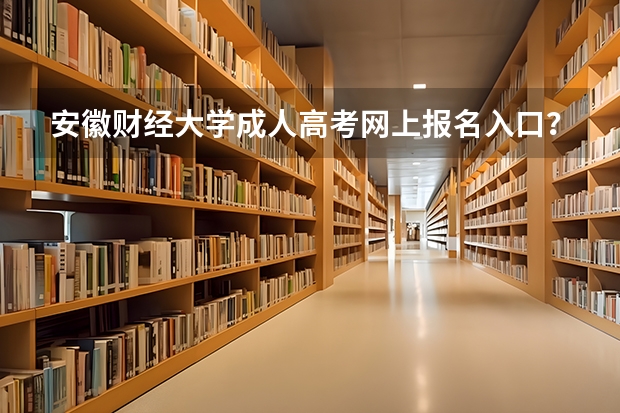 安徽财经大学成人高考网上报名入口？（安徽成人高考报名方法？）