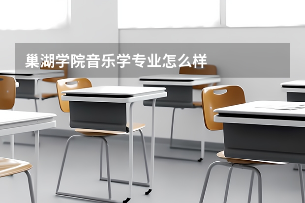 巢湖学院音乐学专业怎么样