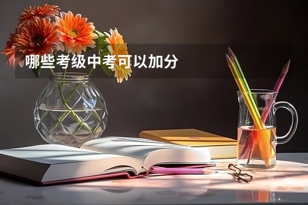 哪些考级中考可以加分