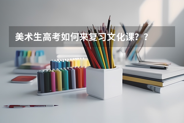 美术生高考如何来复习文化课??