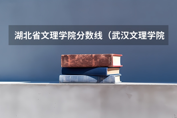 湖北省文理学院分数线（武汉文理学院艺术生分数线）