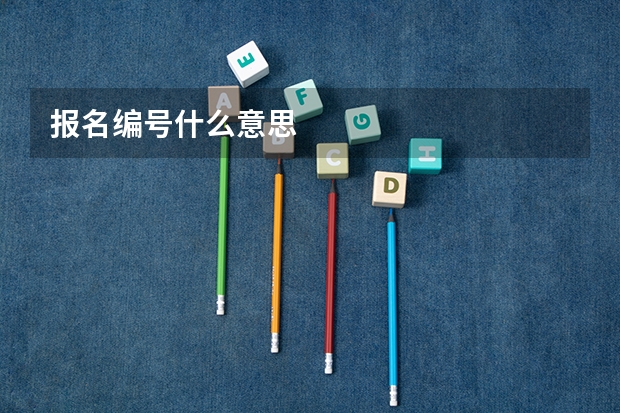 报名编号什么意思