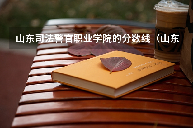 山东司法警官职业学院的分数线（山东警察学院分数线）