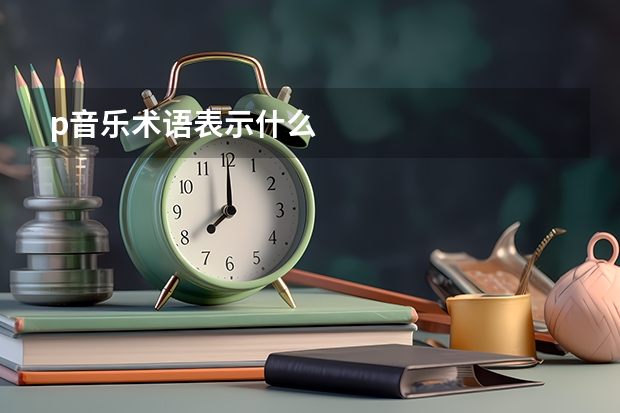 p音乐术语表示什么