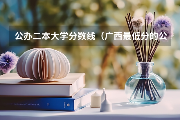 公办二本大学分数线（广西最低分的公立二本）