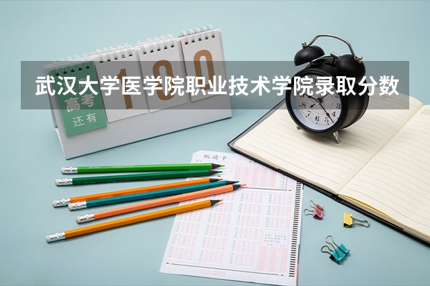 武汉大学医学院职业技术学院录取分数线 武汉职业技术学院分数线