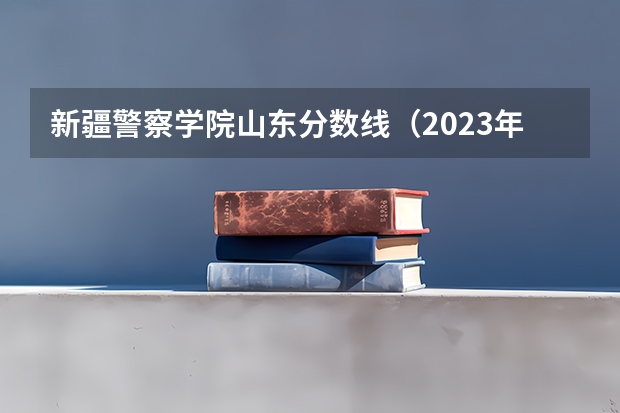新疆警察学院山东分数线（2023年各省高考警察院校录取分数线一览表）