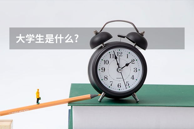大学生是什么?