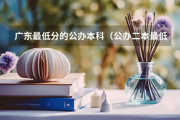 广东最低分的公办本科（公办二本最低分）