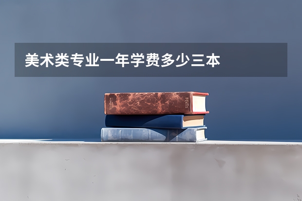 美术类专业一年学费多少三本