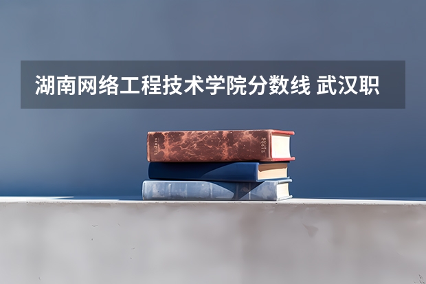 湖南网络工程技术学院分数线 武汉职业技术学院专业分数线