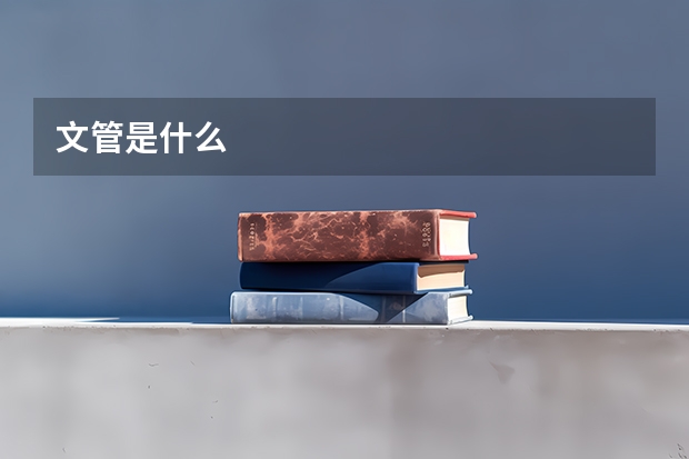 文管是什么