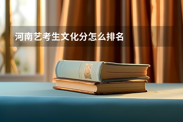 河南艺考生文化分怎么排名