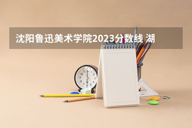 沈阳鲁迅美术学院2023分数线 湖南美术学院录取分数线