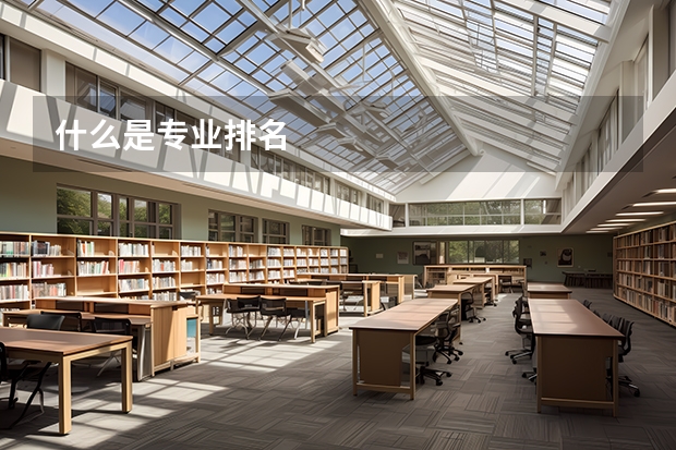 什么是专业排名