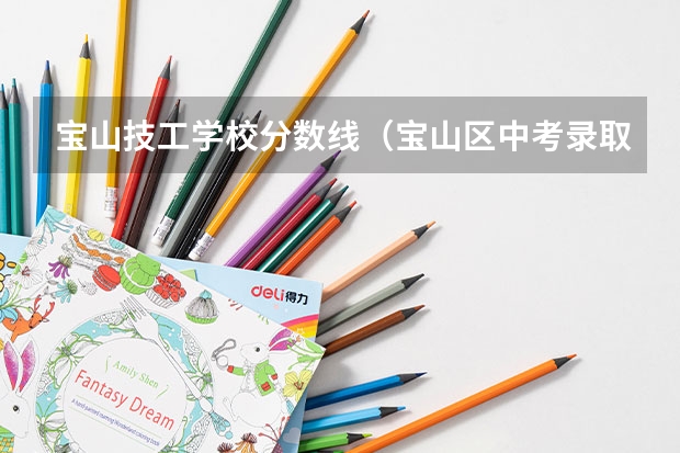 宝山技工学校分数线（宝山区中考录取分数线）