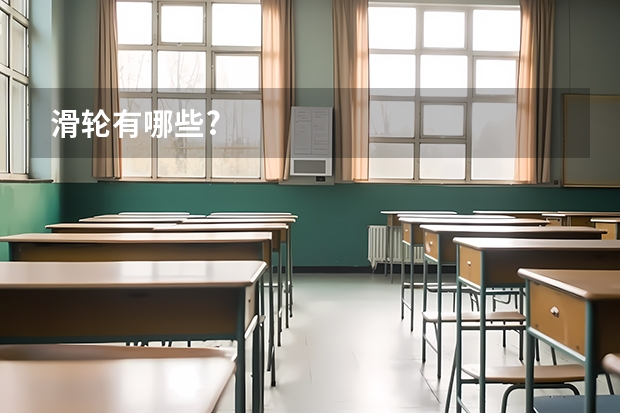 滑轮有哪些?