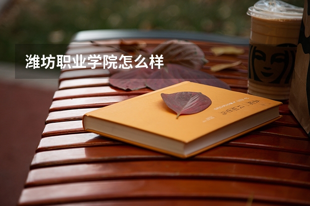 潍坊职业学院怎么样