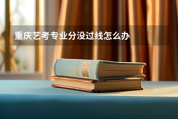 重庆艺考专业分没过线怎么办
