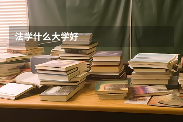 法学什么大学好