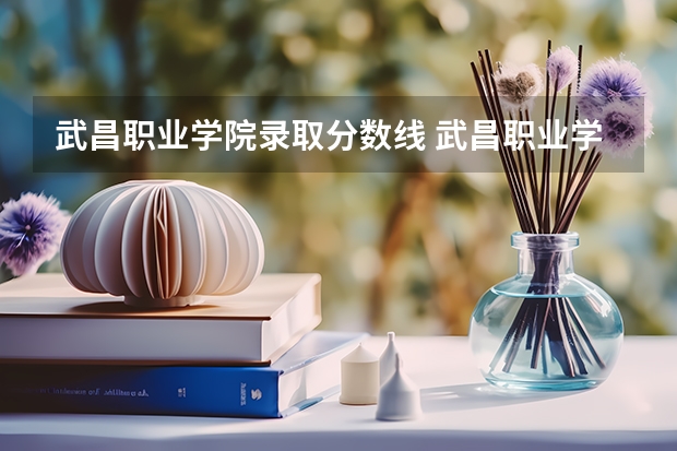 武昌职业学院录取分数线 武昌职业学院录取分数线