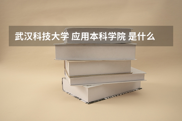 武汉科技大学 应用本科学院 是什么性质