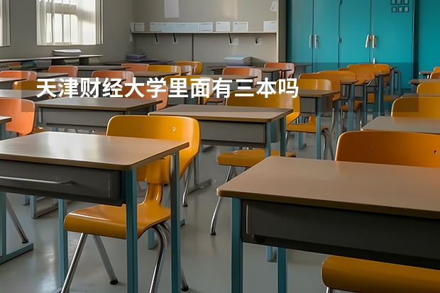 天津财经大学里面有三本吗