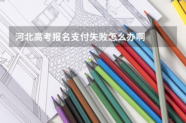 河北高考报名支付失败怎么办啊