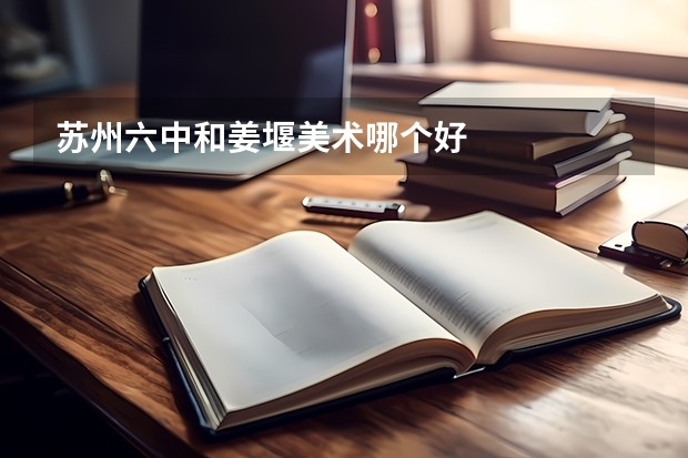 苏州六中和姜堰美术哪个好