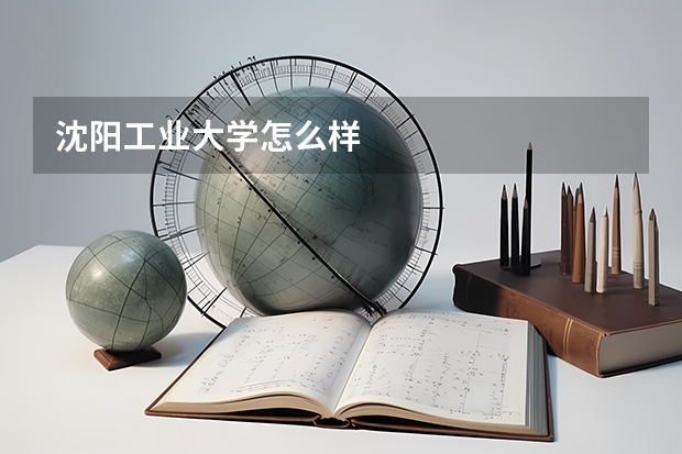 沈阳工业大学怎么样