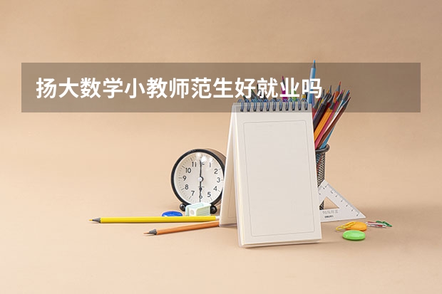 扬大数学小教师范生好就业吗