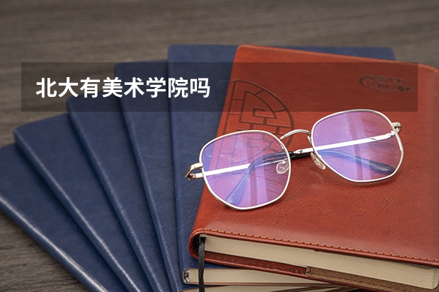 北大有美术学院吗