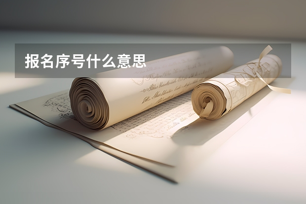 报名序号什么意思