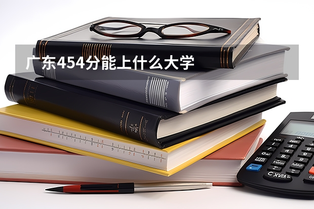 广东454分能上什么大学