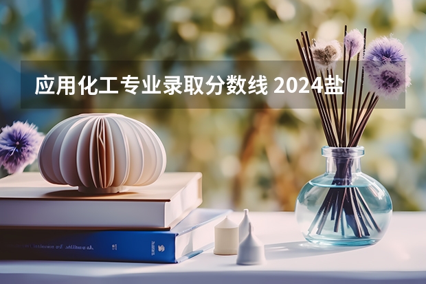 应用化工专业录取分数线 2024盐城工学院各专业录取分数线