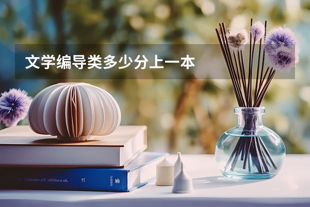 文学编导类多少分上一本