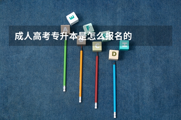 成人高考专升本是怎么报名的