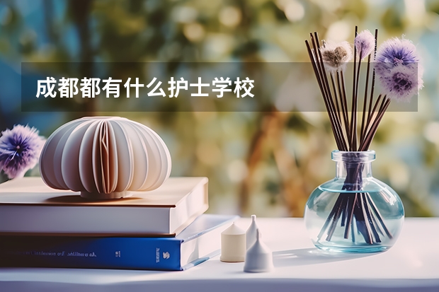 成都都有什么护士学校