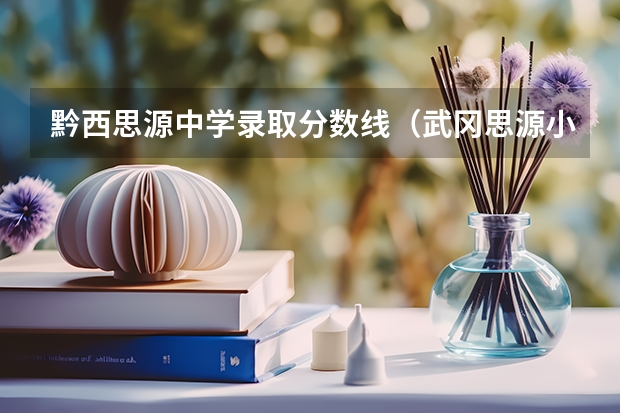 黔西思源中学录取分数线（武冈思源小升初录取分数线）