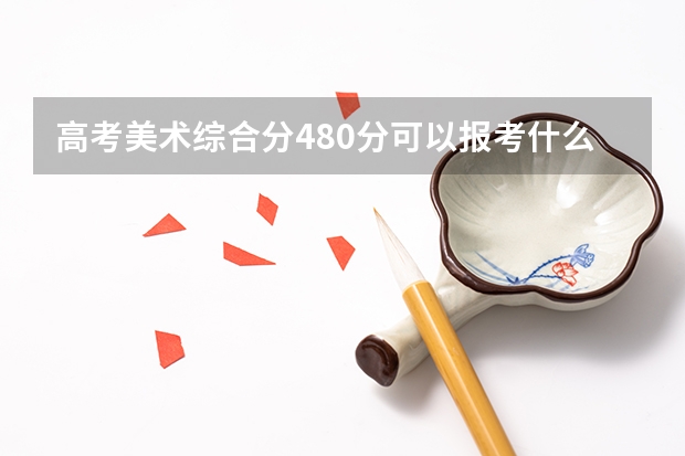 高考美术综合分480分可以报考什么学校？